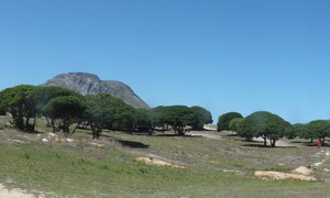 GAP Behuisingsprojek skop af